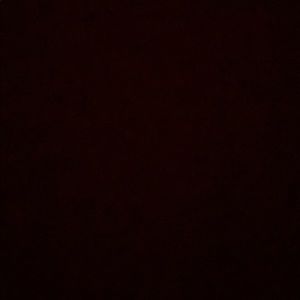 Meet your Posher, Jullian